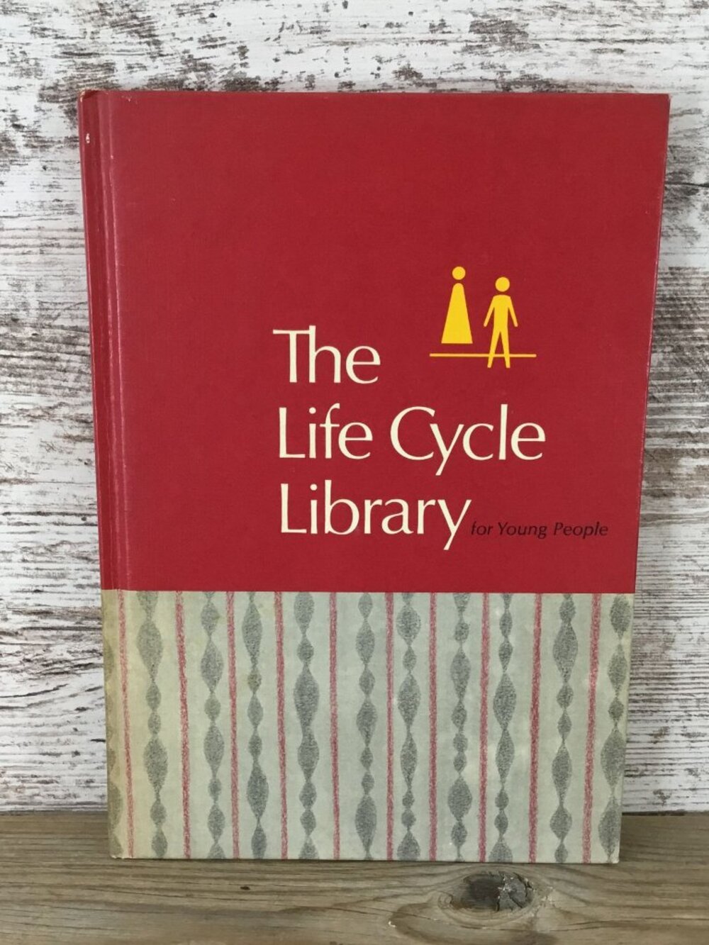 The Life Cycle Library For Young People Vol. 4 Hardcover 1969 Parent & Child